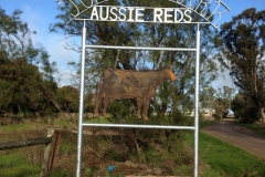 Aussie Reds Sign 1